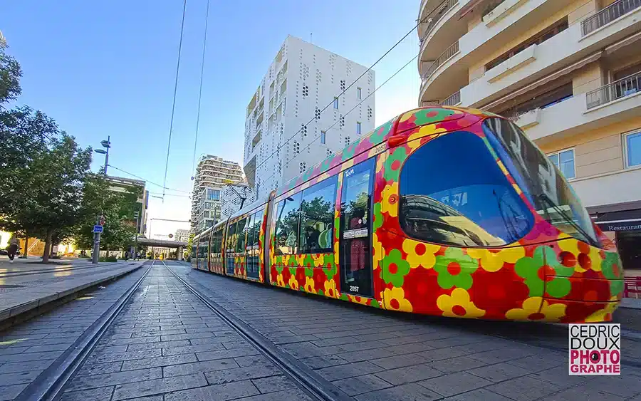 Montpellier Urbanisme - le tramway dans la ville / Crédit 2024 © Cedric-Doux.fr